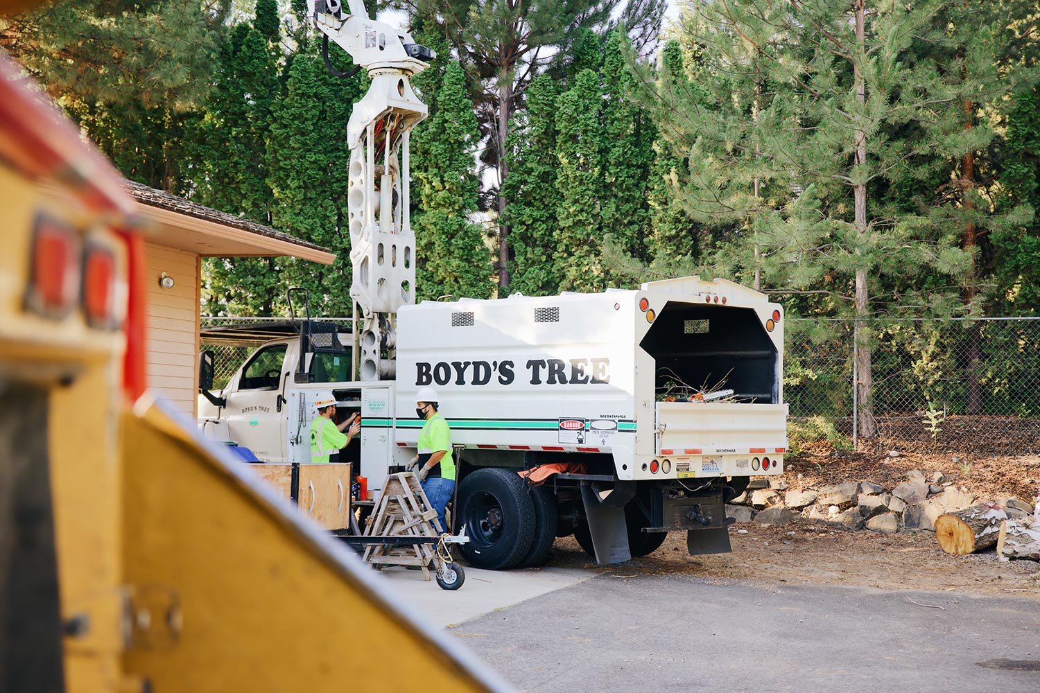 boyds tree service