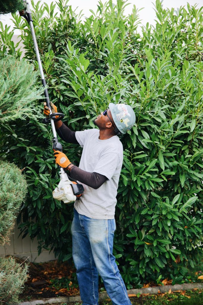 boyd's tree trimming