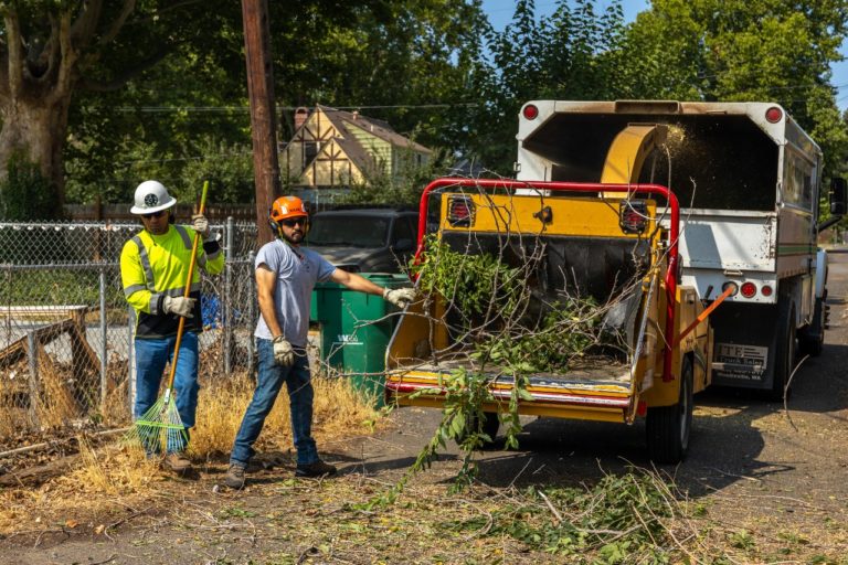 tree removal services in Kennewick with boyds tree services