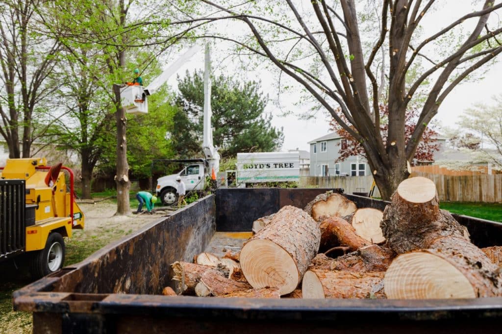 expert tree removal specialist in tri cities