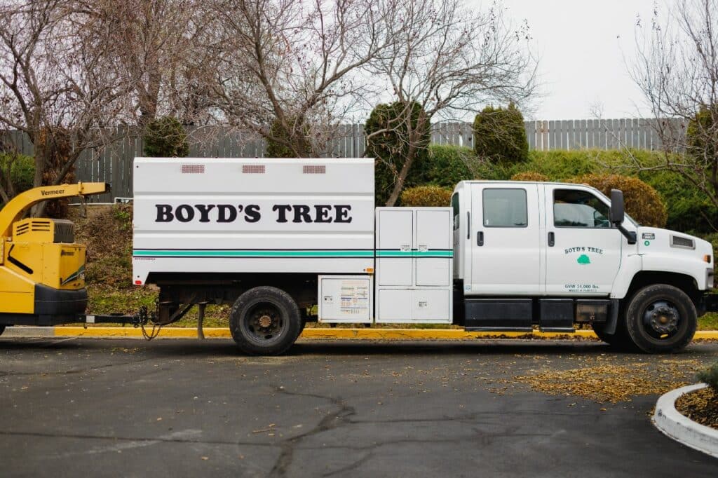 should you have to pay for a tree removal estimate?