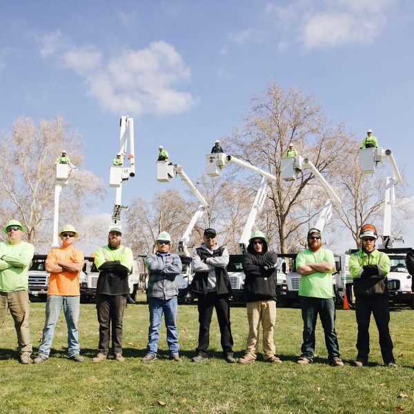 boyds tree service richland wa