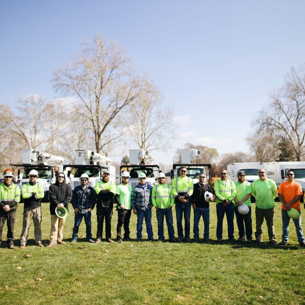 expert-tree-care-kennewick-wa expert tree care kennewick