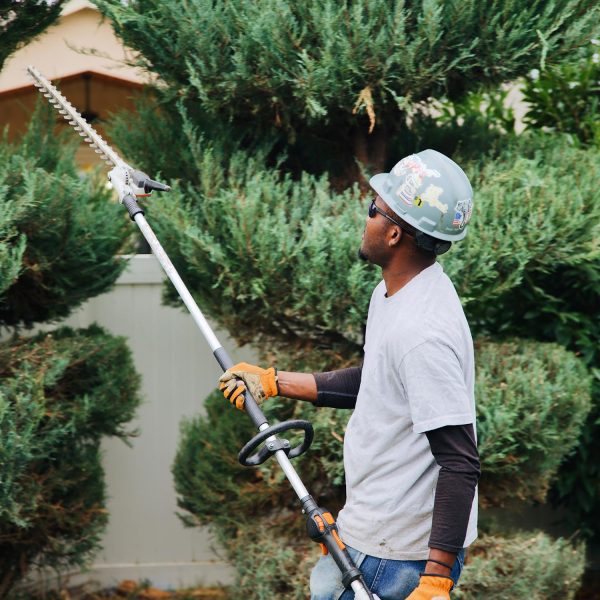 shrubbery removal richland